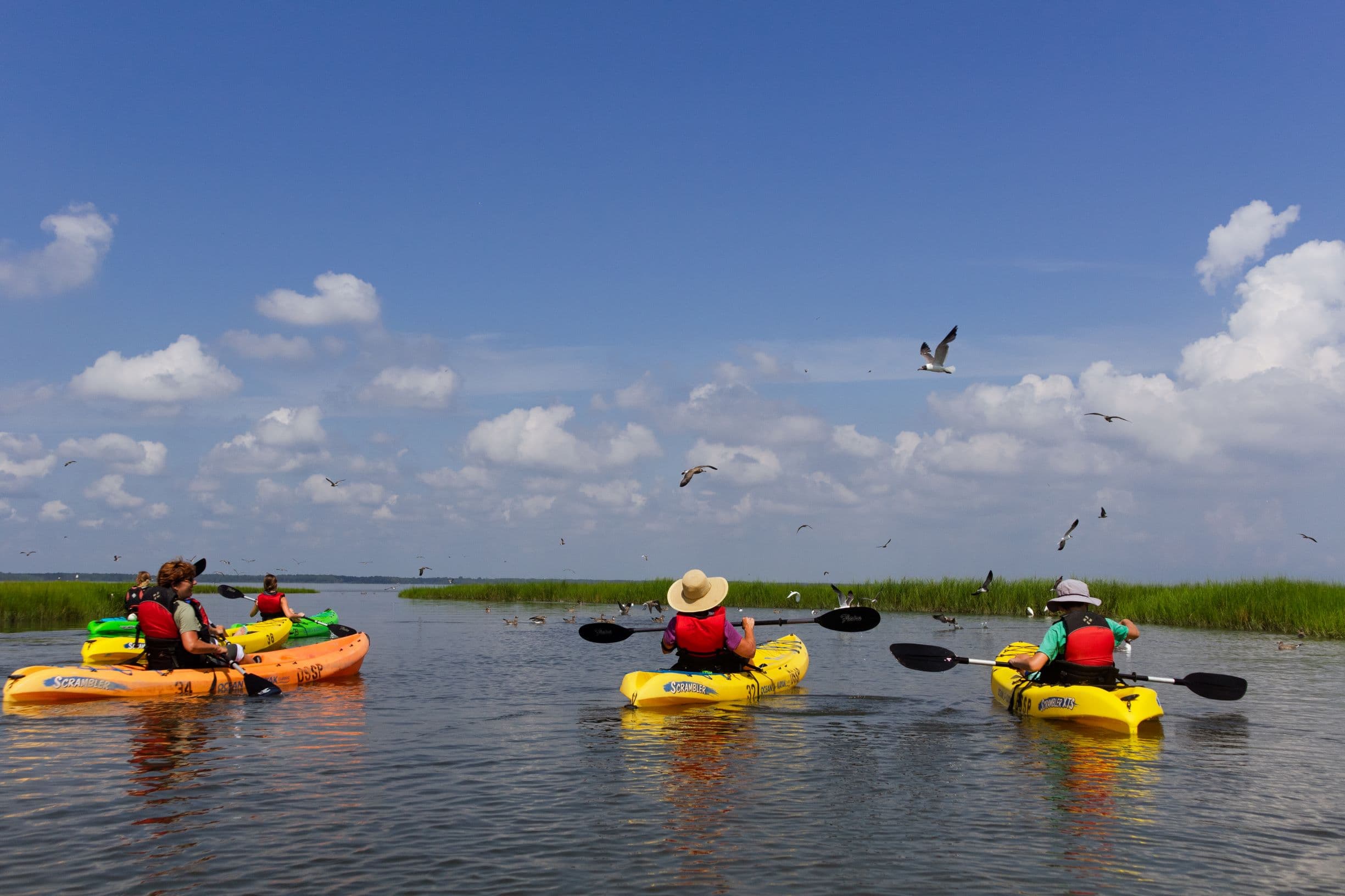 A group kayak tour paddling through the marsh at Delaware Seashore State Park