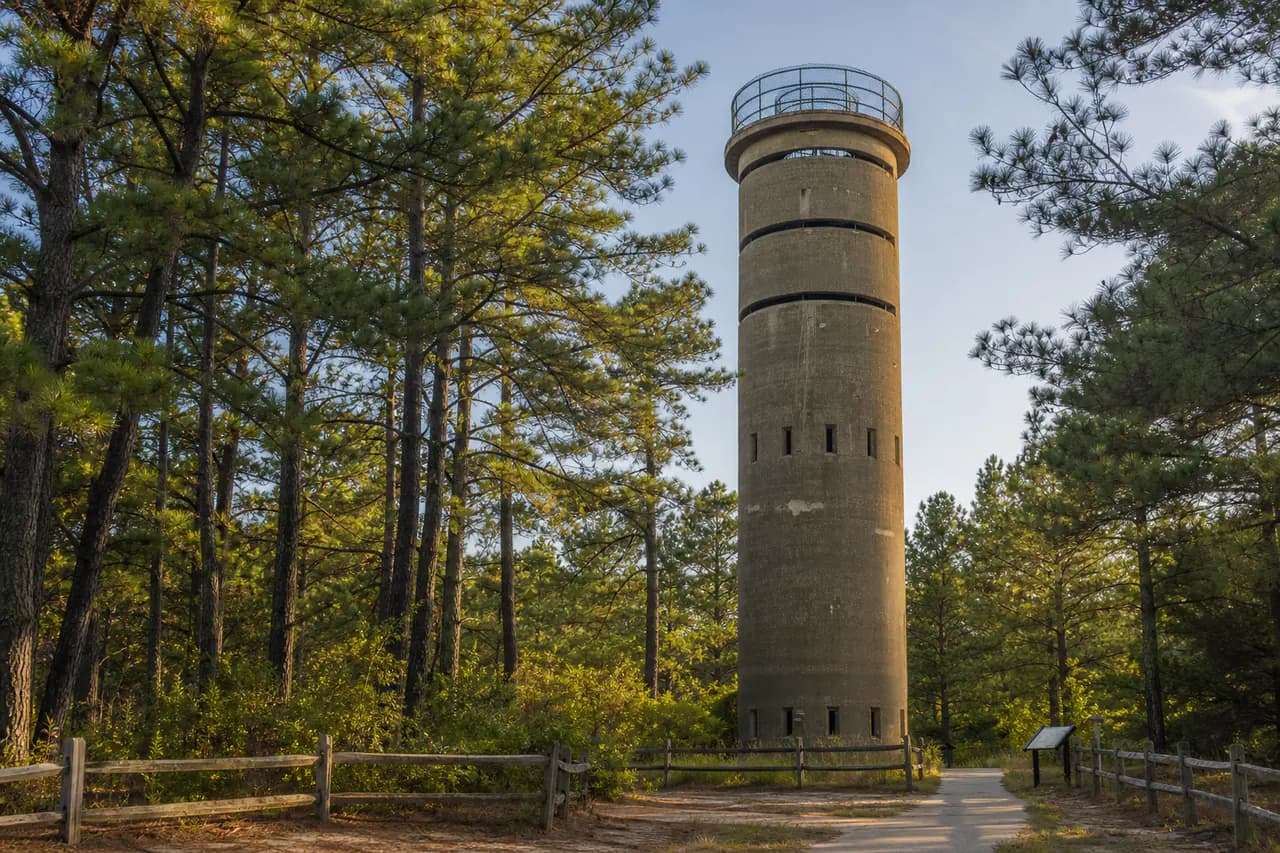 Interpretive view of Tower 7 among the pines at Cape Henlopen State Park