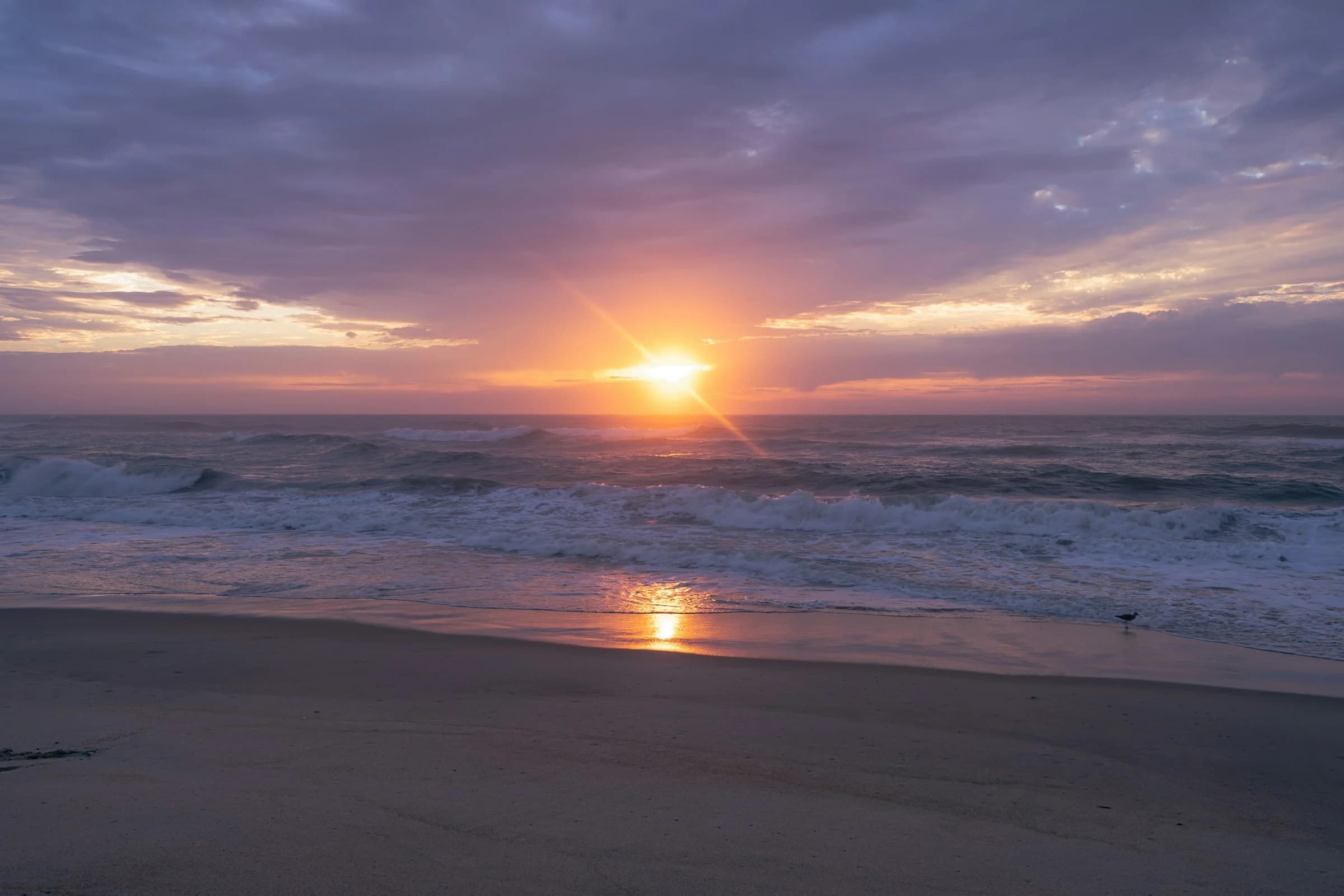 Pastel sunrise over the Atlantic at Assateague Island