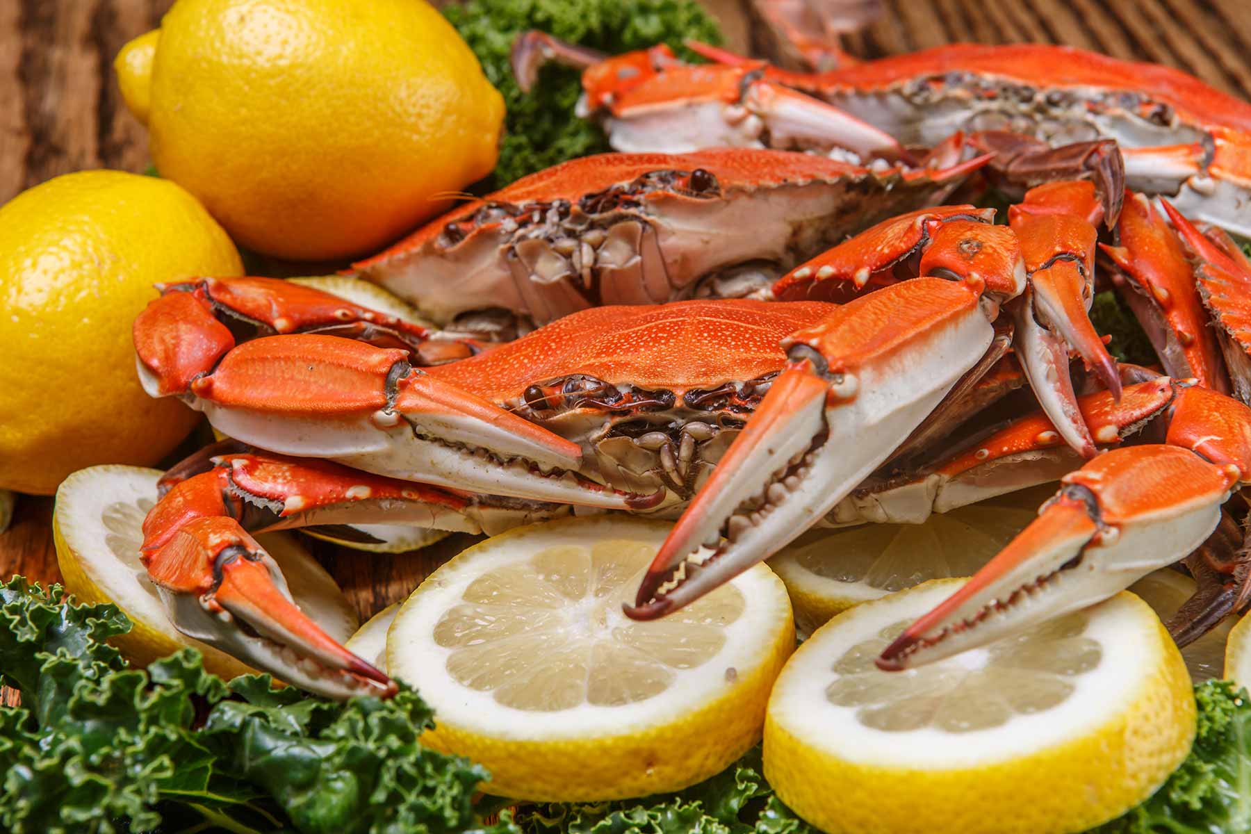 Steamed blue crabs served at a coastal restaurant